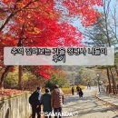 청평사 | 추억 짚어보는 가을 청평사 나들이 후기