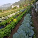 덕유산 뜰 펜션 이미지