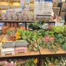 비전프라자 옆 이미지