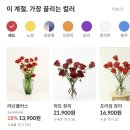 어니스트플라워 꽃으로 골드핑크 장미박스 만들기 (내돈내산 후기, 초대코드)