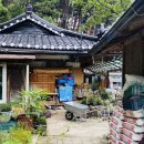 감나무집할머니 이미지