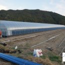 오가네 하우스 이미지