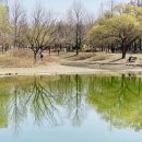 서울숲3 이미지