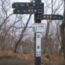 불광우리들약국 이미지