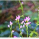 오도산황토펜션 이미지