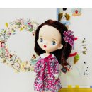 오도도 노리 이미지