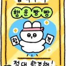 윌쌤영어학원