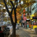 느티마을 네이버블로그