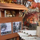 장성마을 건너 이미지