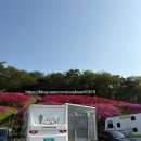 고향쌀국수 | [양평]미리내리조트, 두물머리, 사이공우리고향쌀국수, 흑유재