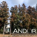 제주 구좌 베이커리카페 안도르 (ANDOR) 분위기 최고