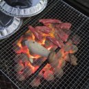 감나무 | [전북 무주 여행] 향로산자연휴양림 트리하우스 감나무 숙박 후기, 바베큐, 예약 방법, 모노레일