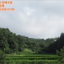 양덕동375 이미지