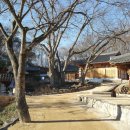 황금개구리 이미지