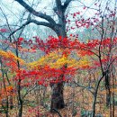 경북 문경시 동로면 (천주산.공덕산) 산행 이미지