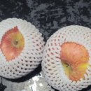 희숙농장 이미지