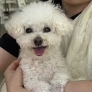 92버터샵 이미지