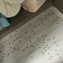 프레드피자시흥은계점