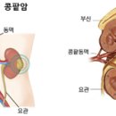 파스텔비뇨의학과의원 이미지