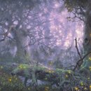 반딧불이 이미지