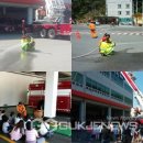대교초교 국제뉴스