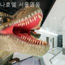 헨나호텔 서울명동 | 광화문호텔 헨나호텔 서울명동 가격대비 만족