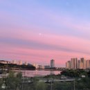 수원-0010 이미지