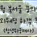 프롬히얼 이미지