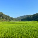 십동펜션 이미지