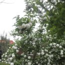 양수마을회관 이미지