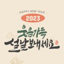 고릴라출장세차