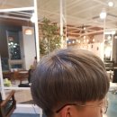 헤어바이블 네이버블로그