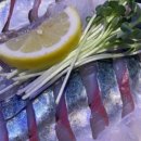 사계절 바다맛집 이미지