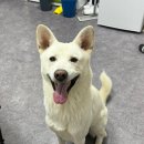 산호동346 이미지