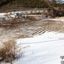 진부임업