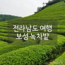 김미폐백과자연애찬 | 전라남도 여행2_김미자연애찬 / 보성 녹차밭 / 순천 드라마촬영장