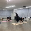 초등·중등영어아카데미(화천) | 아이의 미래를 밝히는 인천논현동영어학원, 프리스틴 잉글리시 아카데미의 매력 속으로