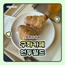 카페언두필드 | 제주도 구좌카페 행원리카페 언두필드 제주도 넓은 식물카페추천