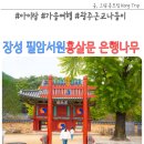 필암서원 유물전시관 | 장성 필암서원 홍살문 은행나무