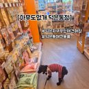 그린24시 편의점 홍성점 | 24시 무인애견 덕은지구 아무도없개 덕은동점