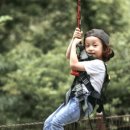 용인아이숲유아숲체험원 이미지