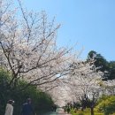 스포원파크 Daum카페
