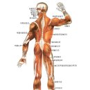 와이비짐 이미지