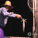 웰빙통김밥