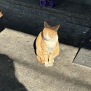 중구 회현동 주민센터 2층 회의실 | 포코피아 하고 싶어요