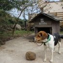 성산게스트하우스킴스캐빈 | 제주성산 게스트하우스 킴스캐빈, 완전 좋네~