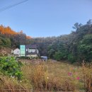 새소리농장 이미지