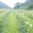 종생농장 이미지