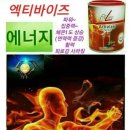 독일피앰