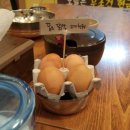 25시국수집 이미지